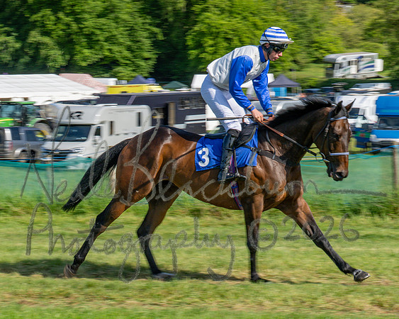 Race 5 - The Restricted (15 of 103)