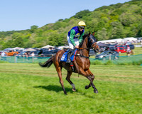 Race 5 - The Restricted (16 of 103)