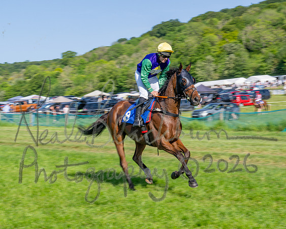 Race 5 - The Restricted (16 of 103)