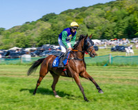 Race 5 - The Restricted (17 of 103)