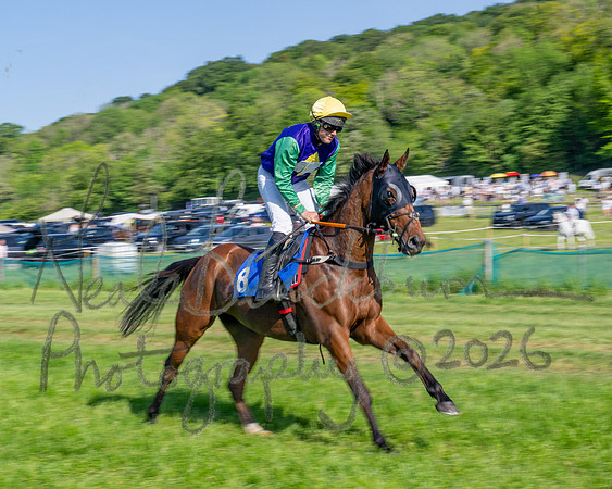 Race 5 - The Restricted (17 of 103)