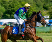 Race 5 - The Restricted (19 of 103)
