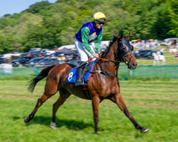 Race 5 - The Restricted (18 of 103)