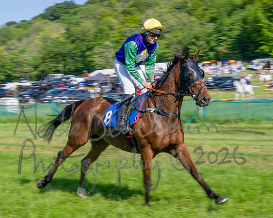 Race 5 - The Restricted (18 of 103)