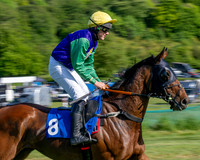 Race 5 - The Restricted (20 of 103)