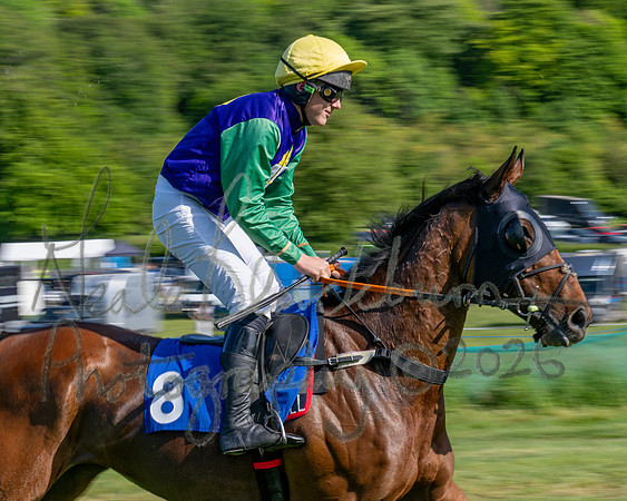 Race 5 - The Restricted (20 of 103)