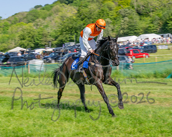 Race 5 - The Restricted (21 of 103)