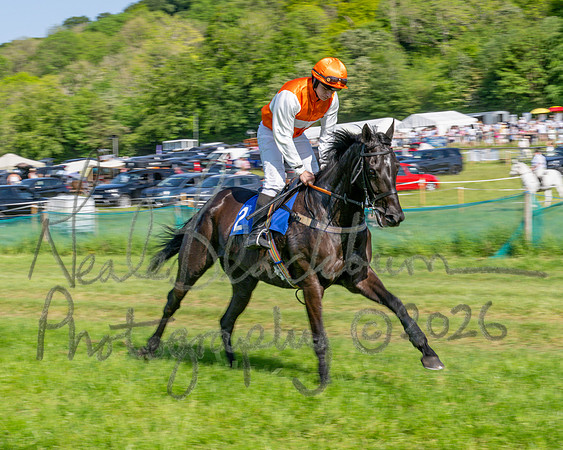 Race 5 - The Restricted (22 of 103)
