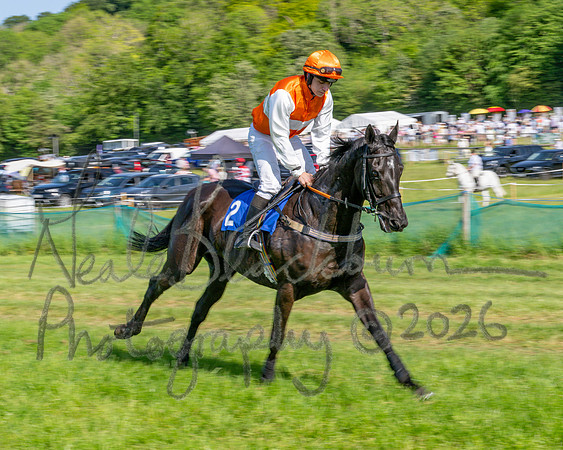 Race 5 - The Restricted (23 of 103)