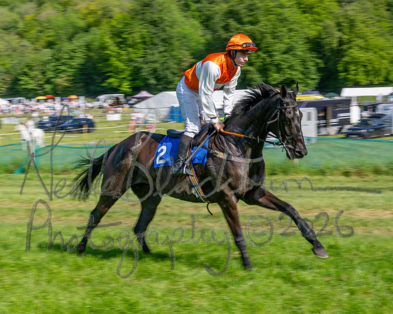 Race 5 - The Restricted (24 of 103)
