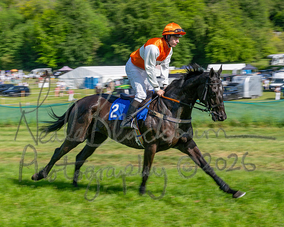 Race 5 - The Restricted (25 of 103)