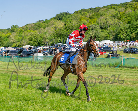 Race 5 - The Restricted (26 of 103)
