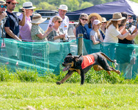 The Berks and Bucks Draghound race (4 of 12)