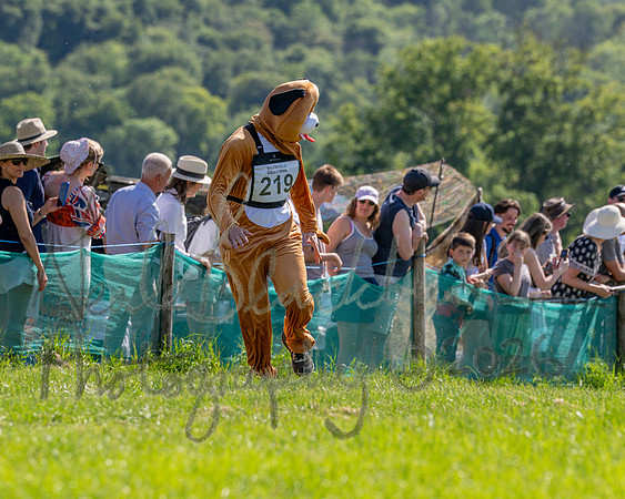 The Berks and Bucks Draghound race (3 of 12)