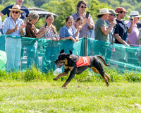 The Berks and Bucks Draghound race (5 of 12)