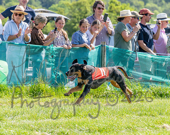 The Berks and Bucks Draghound race (5 of 12)