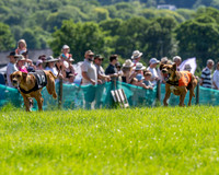 The Berks and Bucks Draghound race (9 of 12)