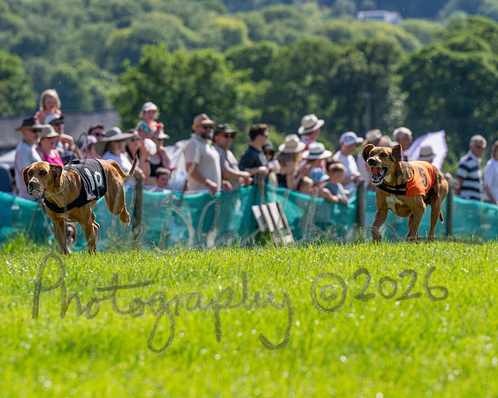The Berks and Bucks Draghound race (9 of 12)