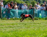 The Berks and Bucks Draghound race (6 of 12)