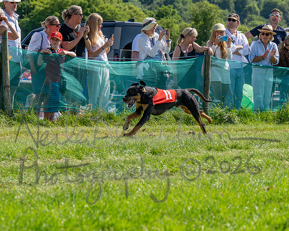 The Berks and Bucks Draghound race (6 of 12)