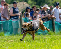 The Berks and Bucks Draghound race (11 of 12)
