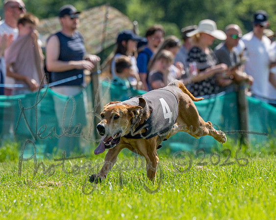 The Berks and Bucks Draghound race (11 of 12)