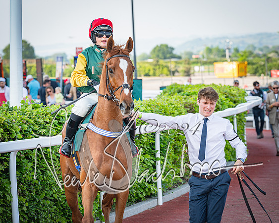 Race 3 - The Junior Jumpers open hunter's steeple chase 3m1f56y (40 of 156)