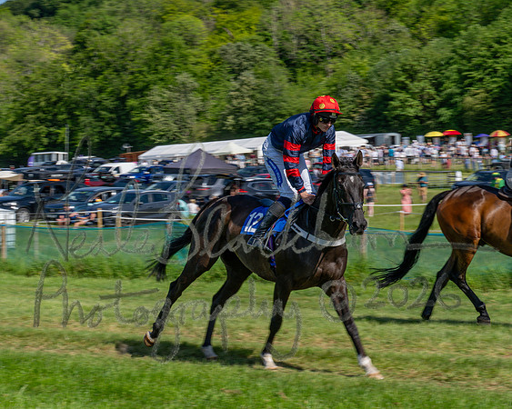 Race 4 - The Mixed Open (3 of 79)