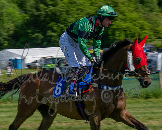 Race 4 - The Mixed Open (8 of 79)