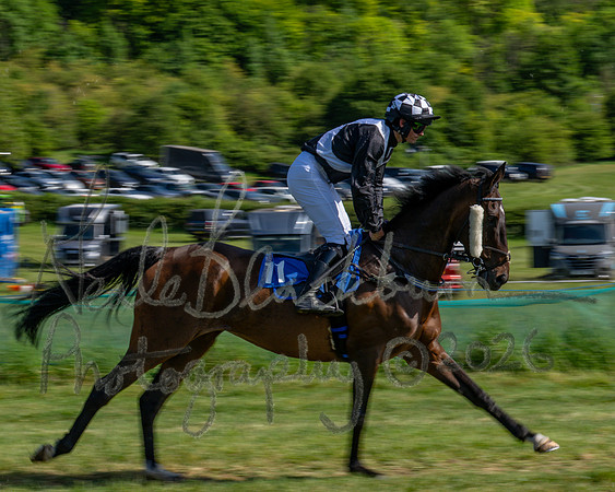 Race 4 - The Mixed Open (17 of 79)