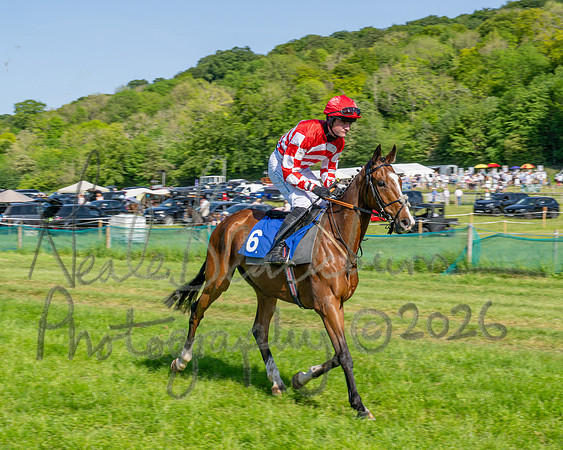 Race 5 - The Restricted (27 of 103)