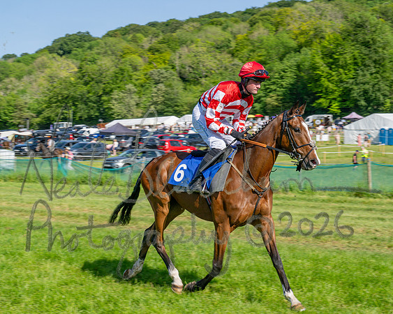 Race 5 - The Restricted (28 of 103)