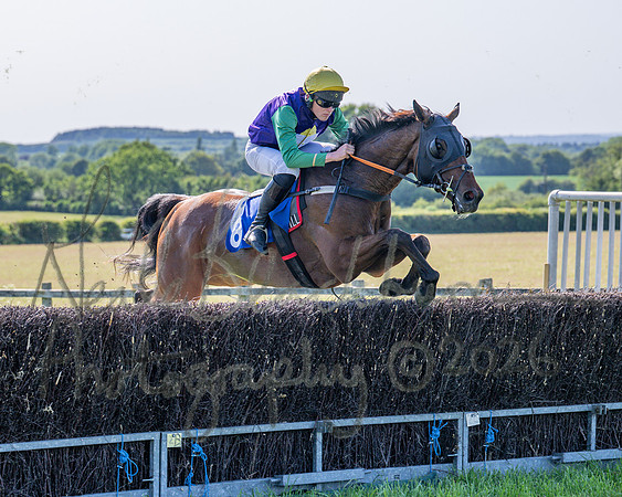 Race 5 - The Restricted (30 of 103)