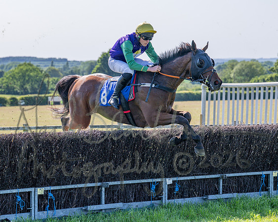 Race 5 - The Restricted (31 of 103)