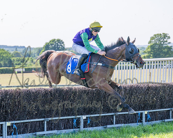 Race 5 - The Restricted (33 of 103)