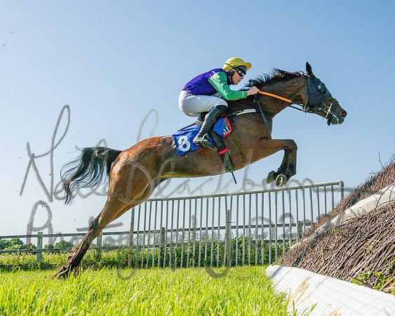 Race 5 - The Restricted (32 of 103)