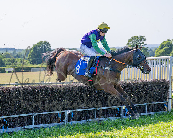 Race 5 - The Restricted (35 of 103)
