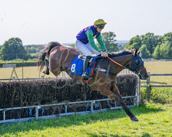 Race 5 - The Restricted (36 of 103)