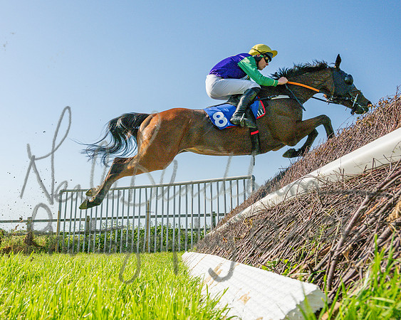 Race 5 - The Restricted (34 of 103)