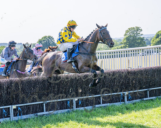 Race 5 - The Restricted (37 of 103)