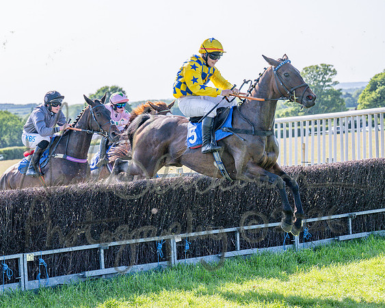Race 5 - The Restricted (38 of 103)