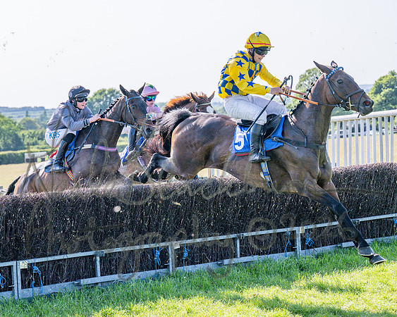 Race 5 - The Restricted (39 of 103)