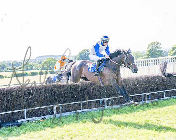 Race 5 - The Restricted (40 of 103)