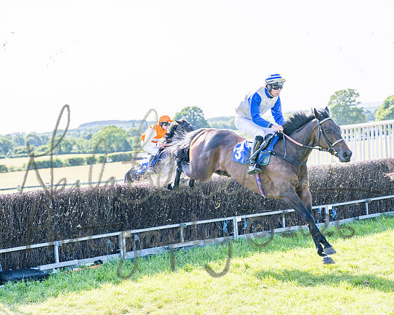 Race 5 - The Restricted (41 of 103)