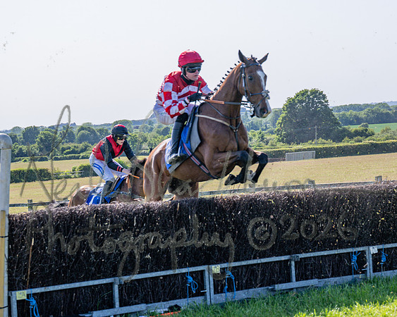 Race 5 - The Restricted (43 of 103)