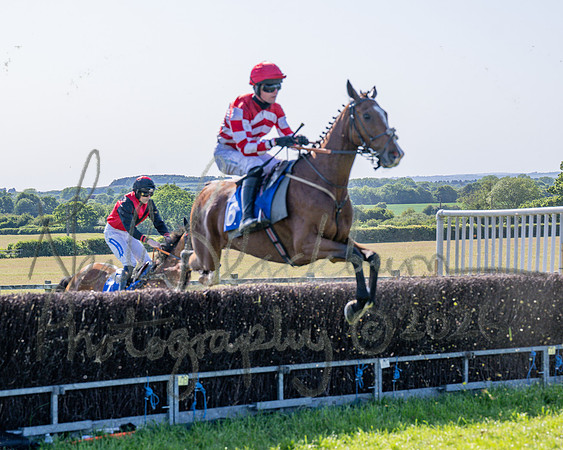 Race 5 - The Restricted (45 of 103)