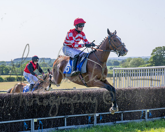 Race 5 - The Restricted (46 of 103)