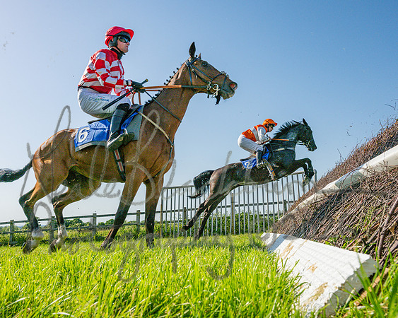 Race 5 - The Restricted (42 of 103)