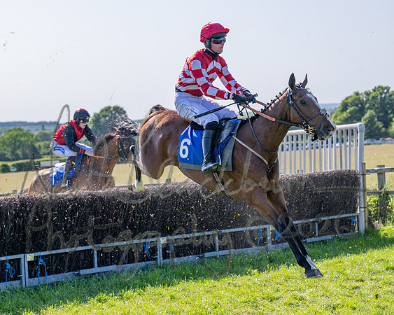 Race 5 - The Restricted (47 of 103)