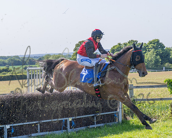 Race 5 - The Restricted (49 of 103)